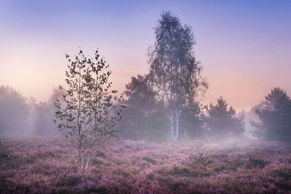 Photograph by Katarzyna Bochniak