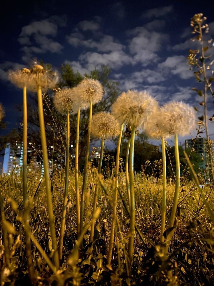 Photograph by Мария Чернецова