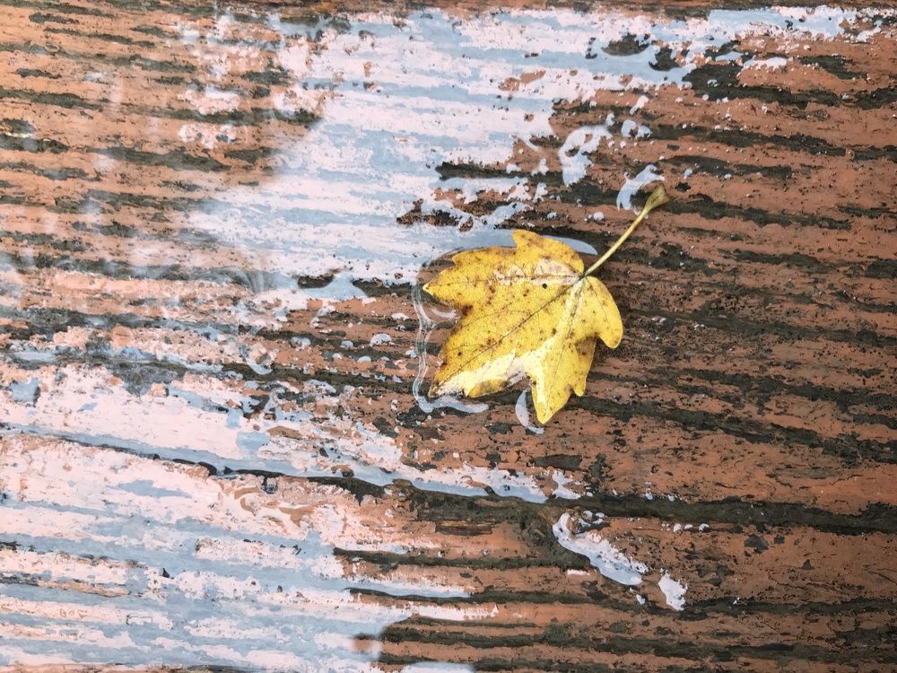 Photograph by Alena Vaganova