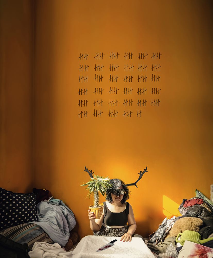 Photograph by zahra safari