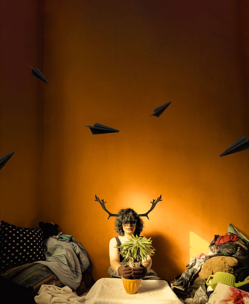 Photograph by zahra safari