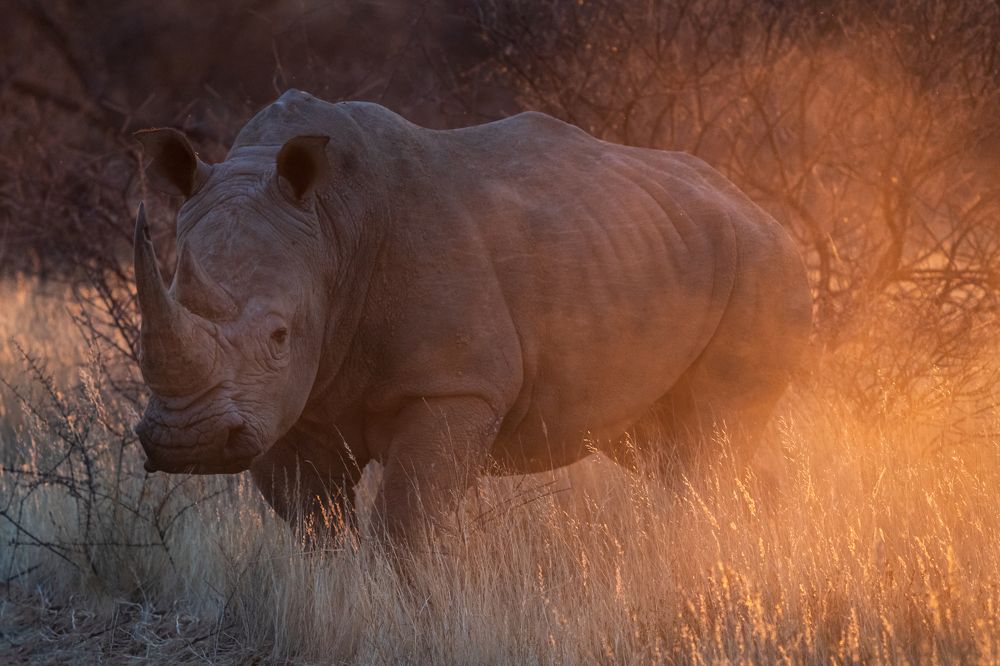 Photograph by Chris Stavrakas