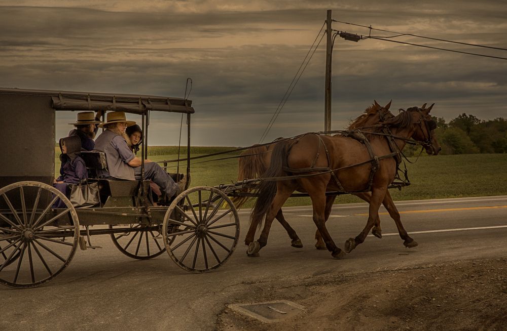 Photograph by Helen McLain