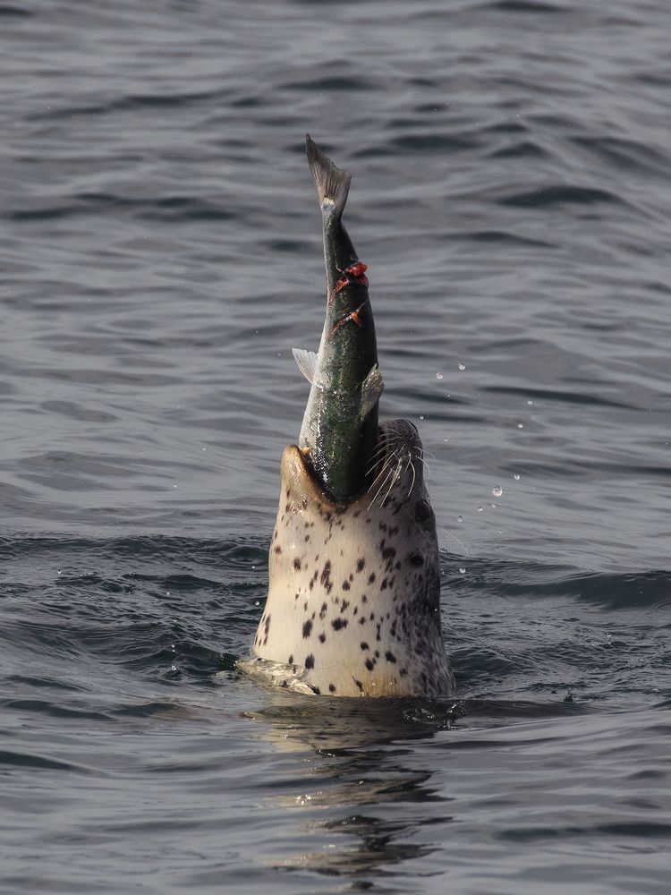 Photograph by Антон Ростовский