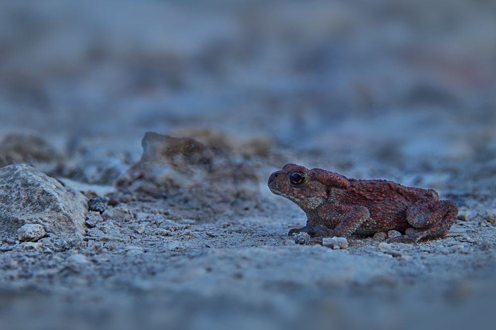 Photograph by Павел Колеснев