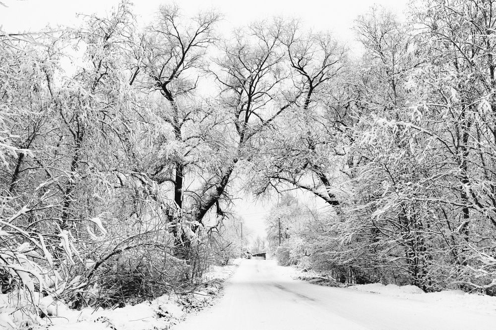 Photograph by Андрей Царев