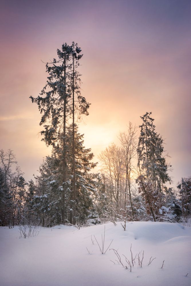 Photograph by Katarzyna Bochniak