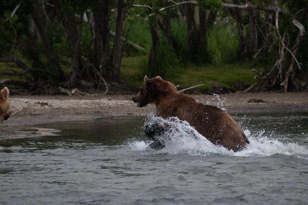 Фотография автора Мария Рохмистрова