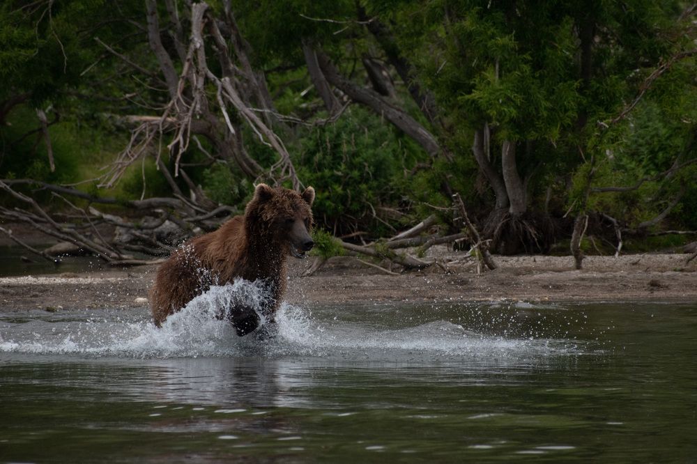 Фотография автора Мария Рохмистрова
