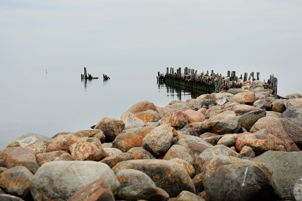 Фотография автора Julija Hisova