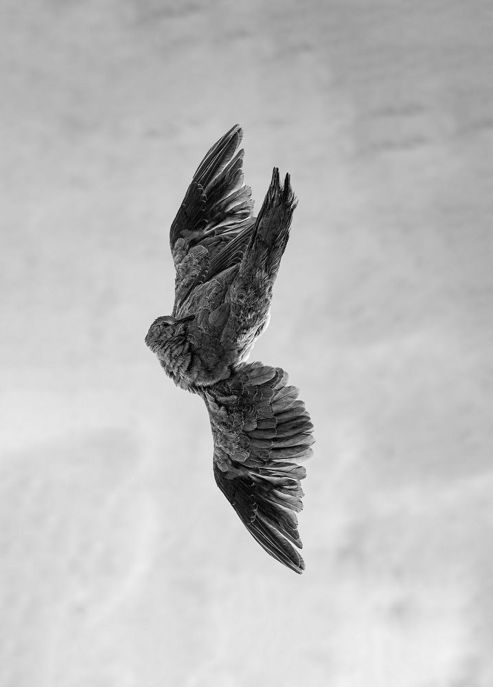 Фотография автора Daniyal Arabzadeh