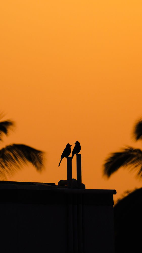 Photograph by Rudra Patel