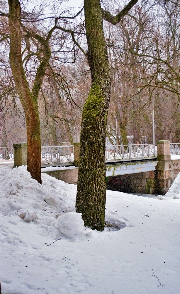 Photograph by Александр Морозов