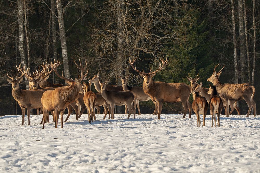 Photograph by Рашид Усманов