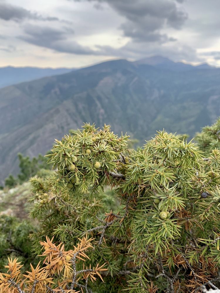 Photograph by Ольга Ильина