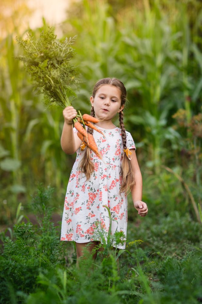 Фотография автора Lana Dee