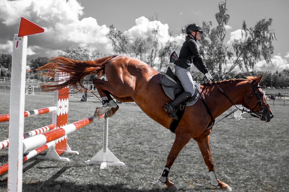 Photograph by Nika Prokopenko