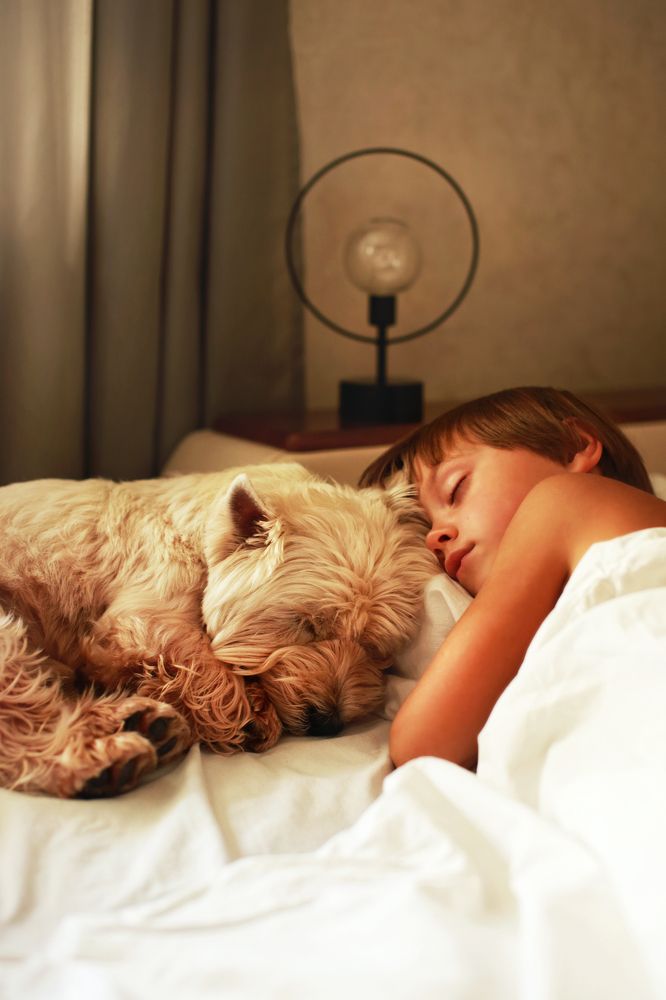 Photograph by Анастасия Ярмак