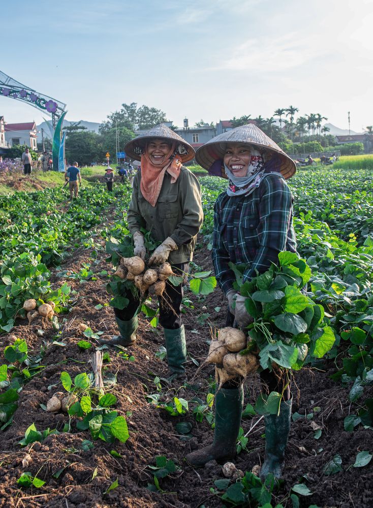 Photograph by Thanh Nguyen