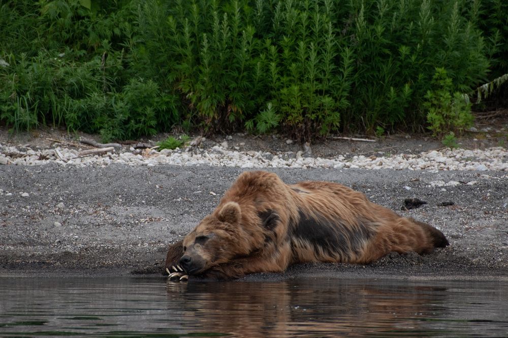 Фотография автора Мария Рохмистрова