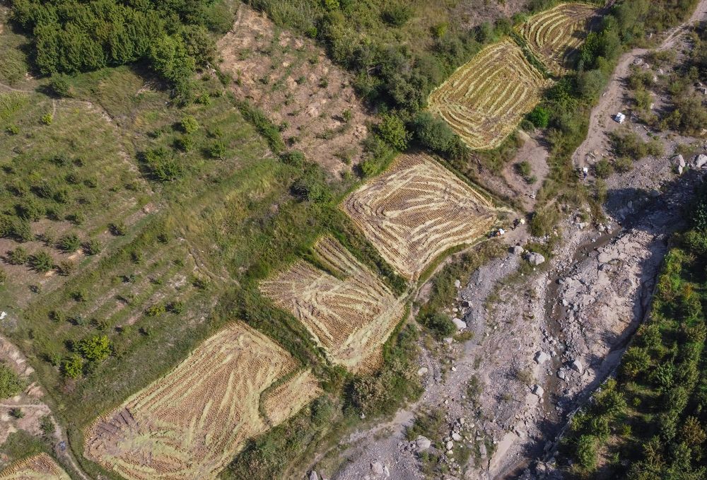 Фотография автора Vahid Basiri