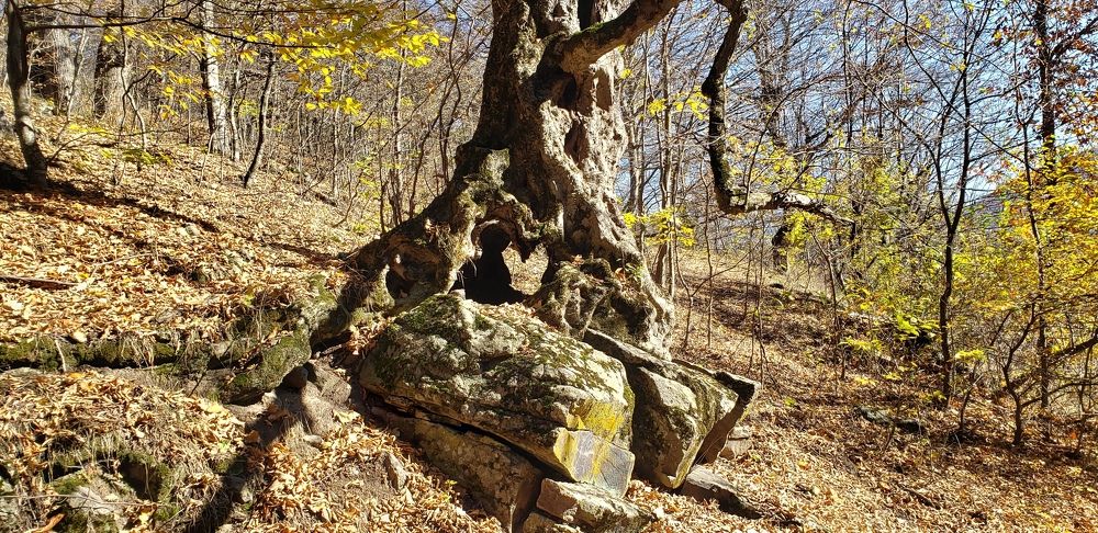Photograph by Iskuhi Mkrtchyan
