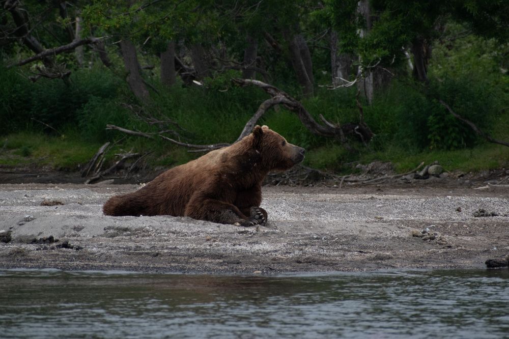 Фотография автора Мария Рохмистрова