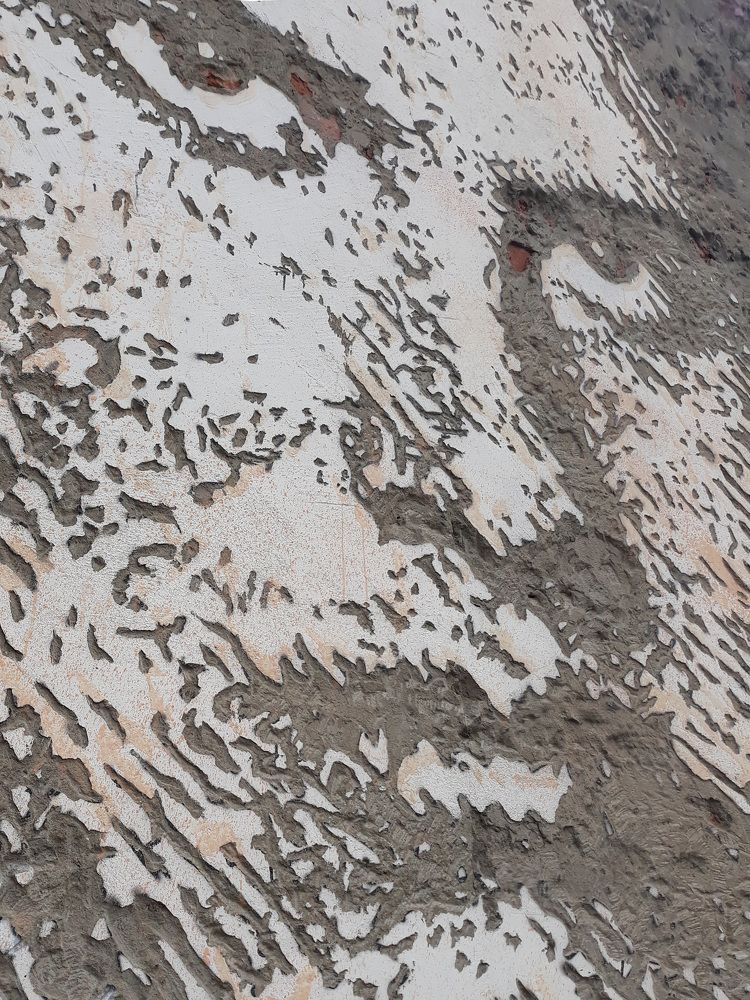 Photograph by Николай Осипенко