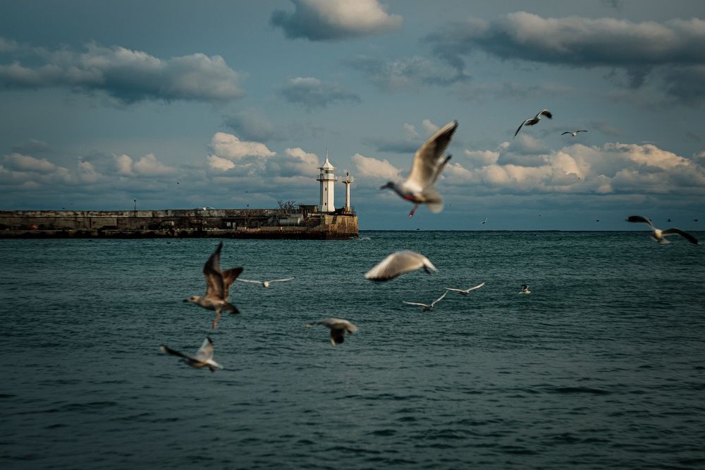 Photograph by Елена Левина