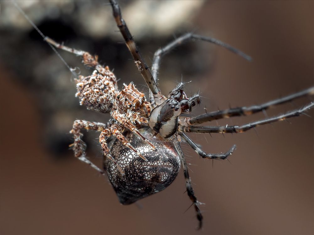 Photograph by Alstein Lai