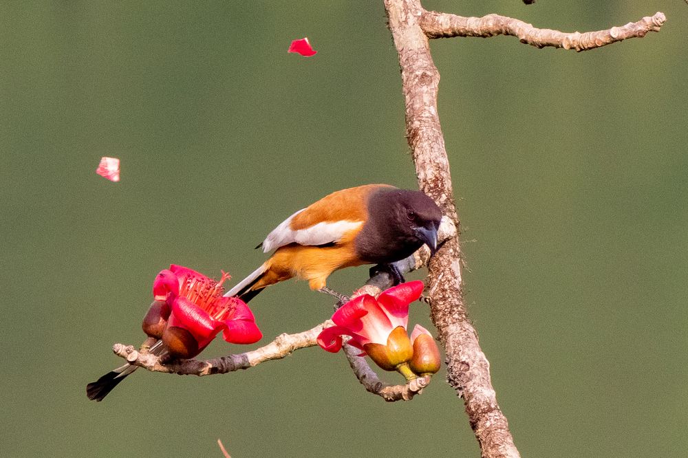 Photograph by Vivek Kuber