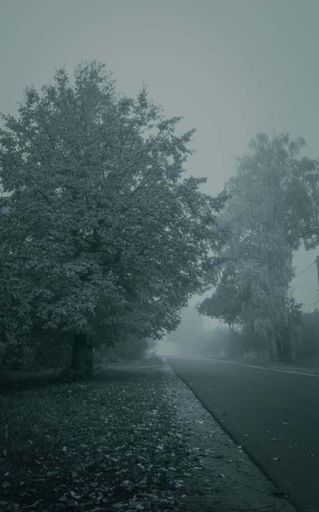 Photograph by Александр Руцкой