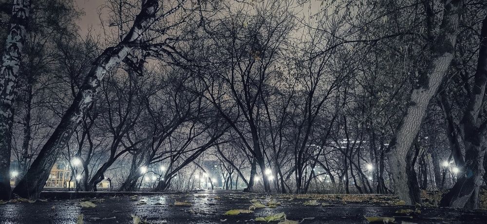 Photograph by Константин Илюшников