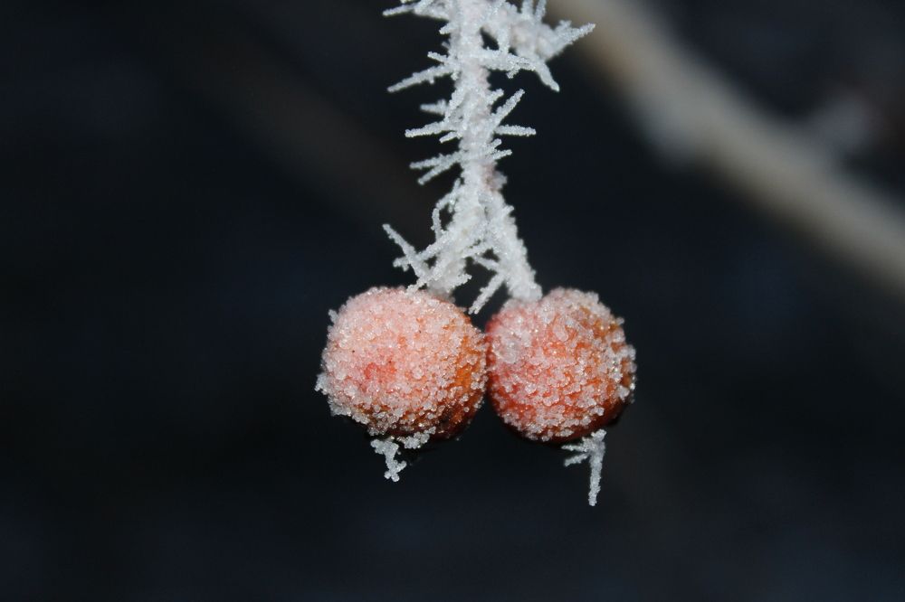 Photograph by Ирина Чечкина