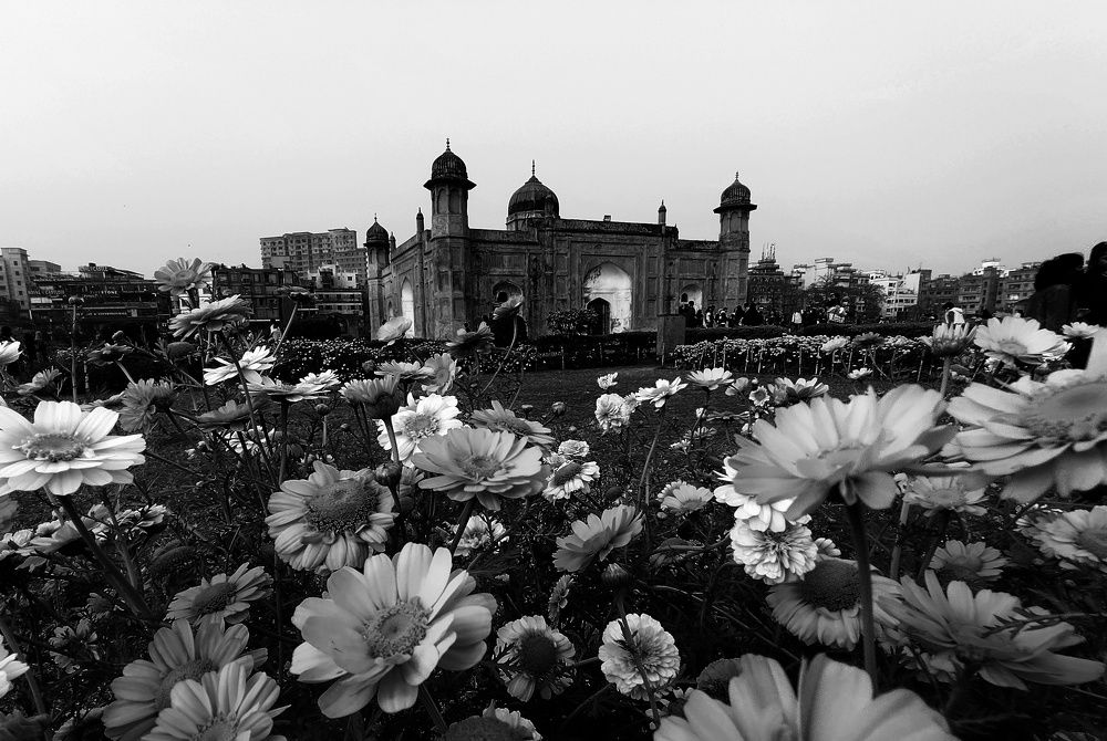 Photograph by Hasan Redoan Rakib