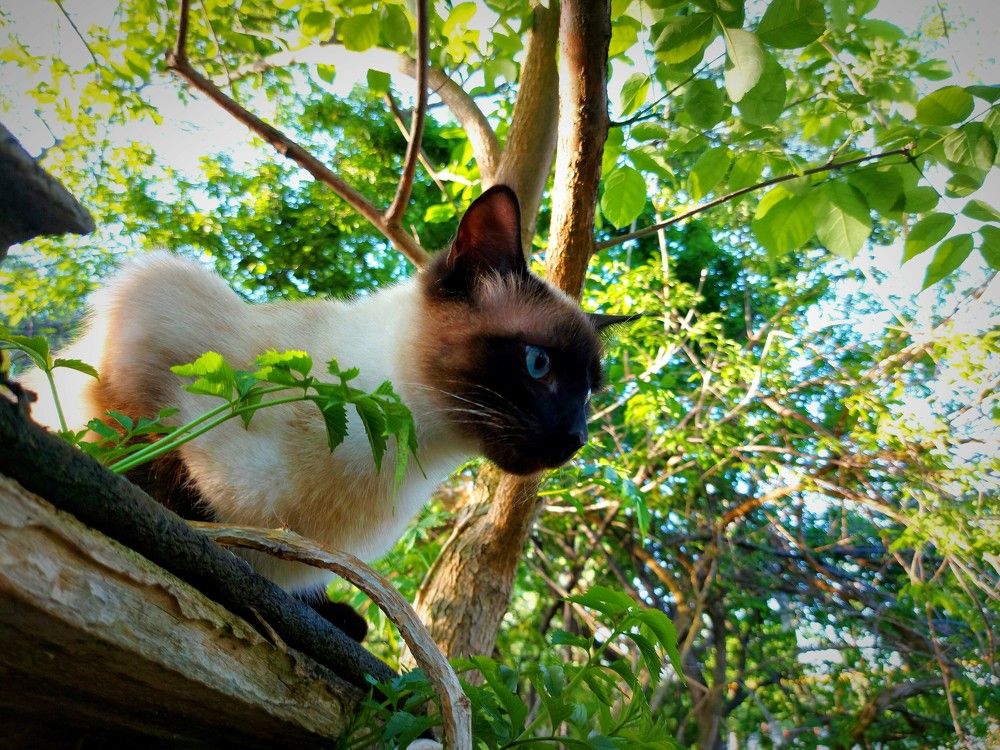 Photograph by Вячеслав Винников