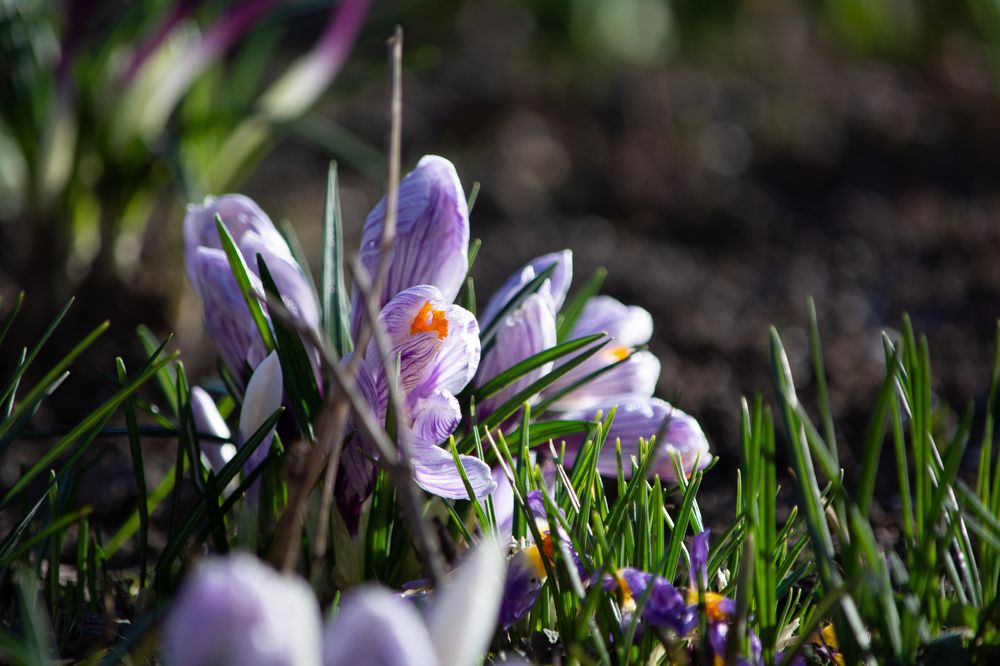 Photograph by Александр Руцкой