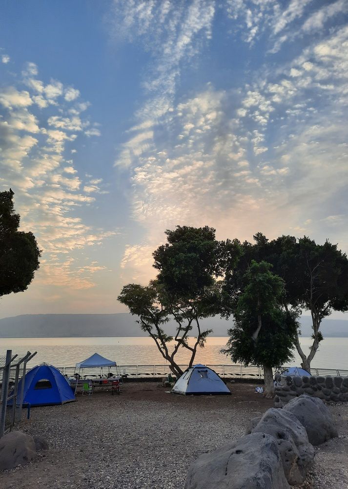 Фотография автора Tetiana Danylenko