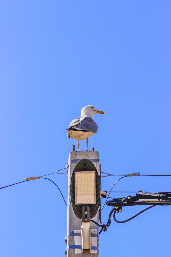 Photograph by Фистина Мария