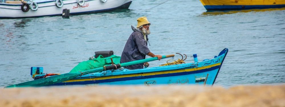 Photograph by islam elsayed eldaramlly