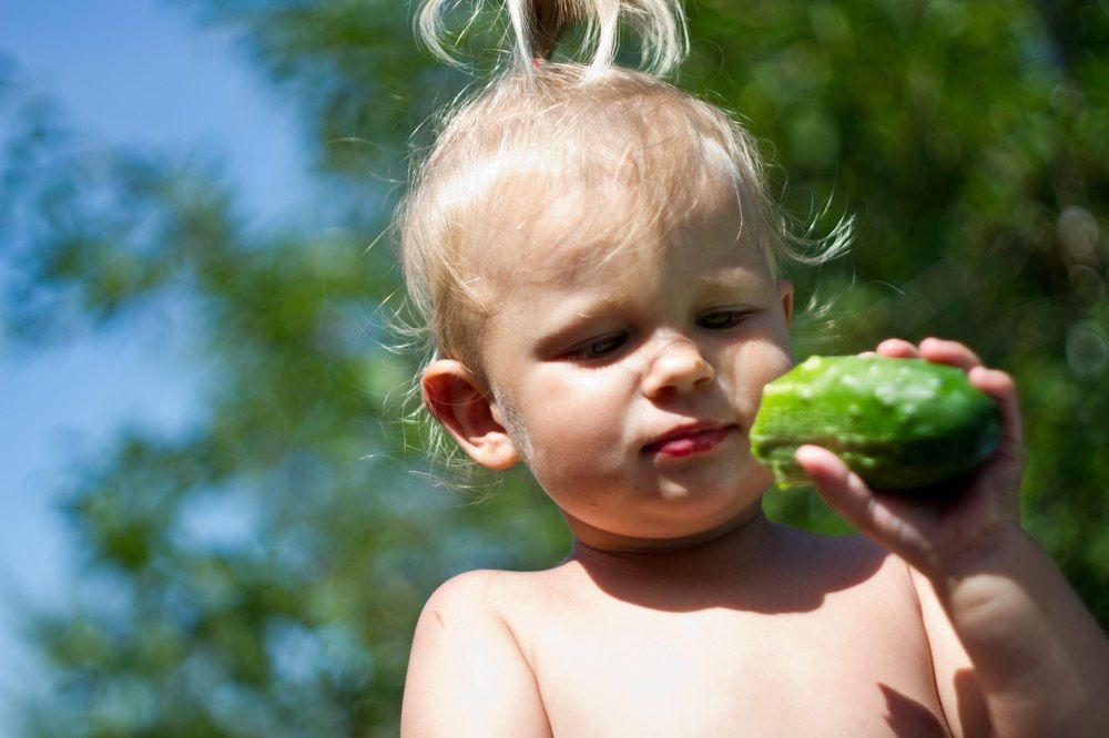 Любитель витаминок