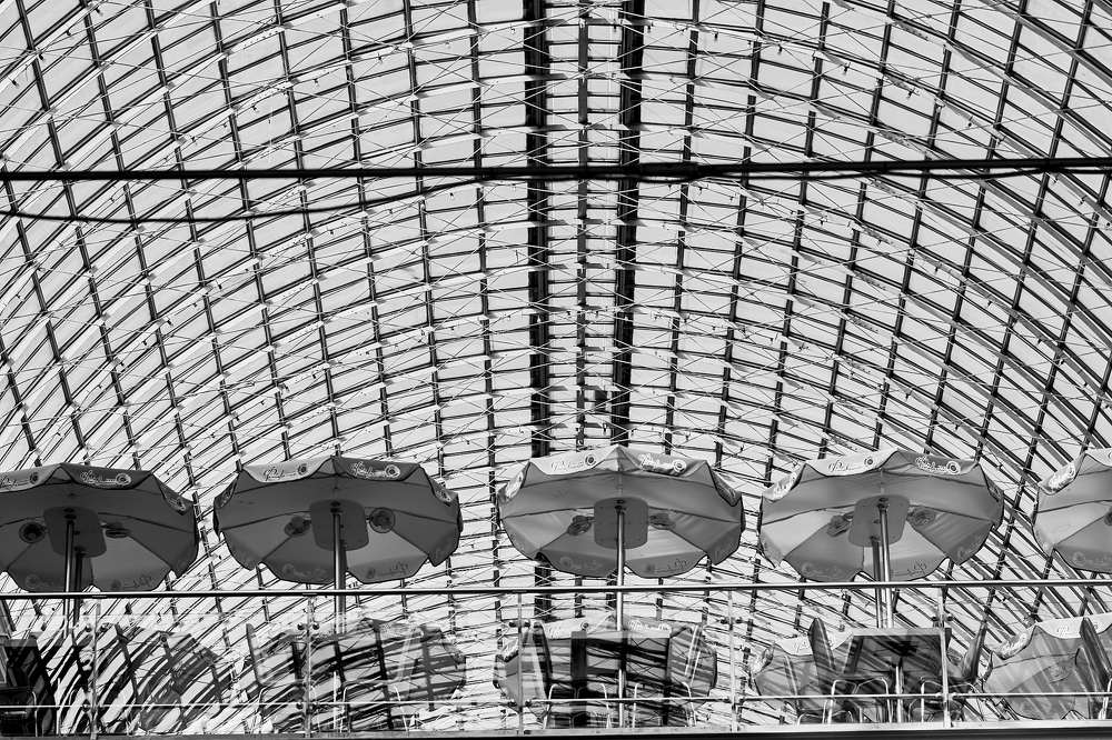 Фотография автора Александр Медведев