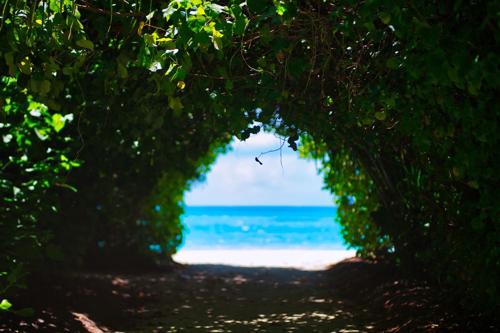 Photograph by Михаил Ноеренчук