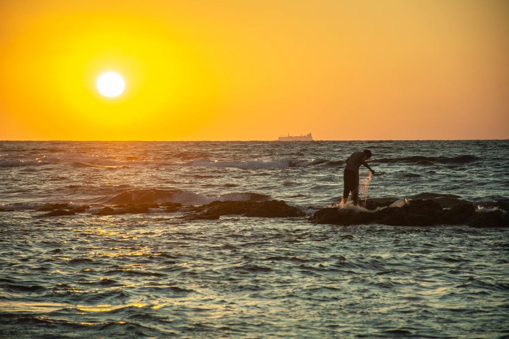 Photograph by islam elsayed eldaramlly