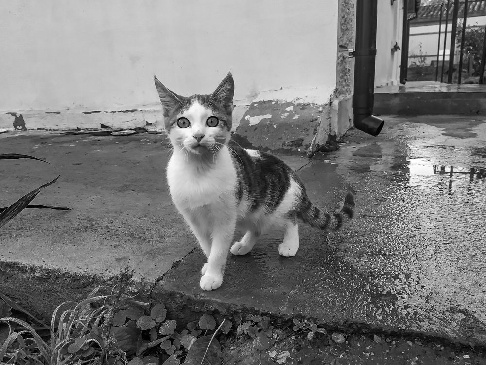 Photograph by Анатолий Мигов