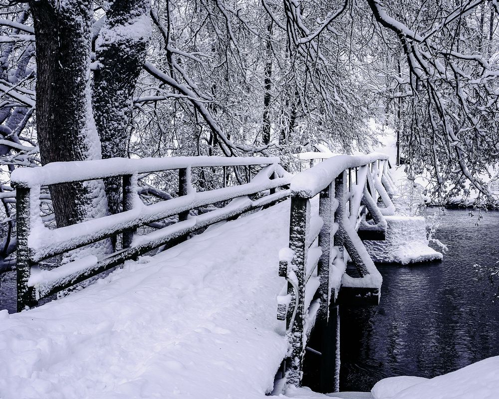 Photograph by Anna Sindikayeva