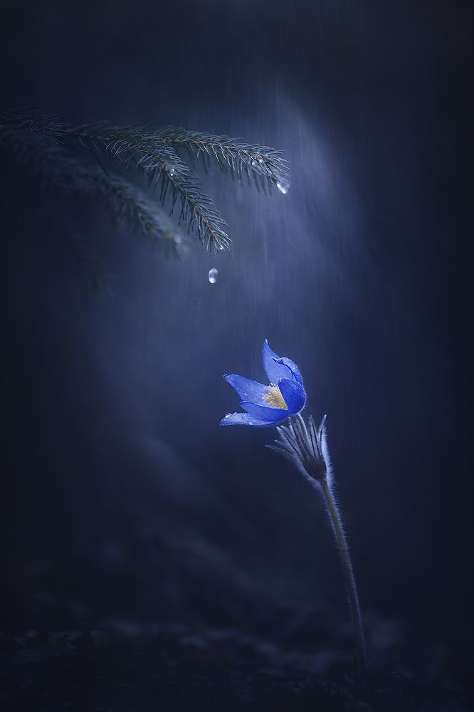 Photograph by Александр Чорный