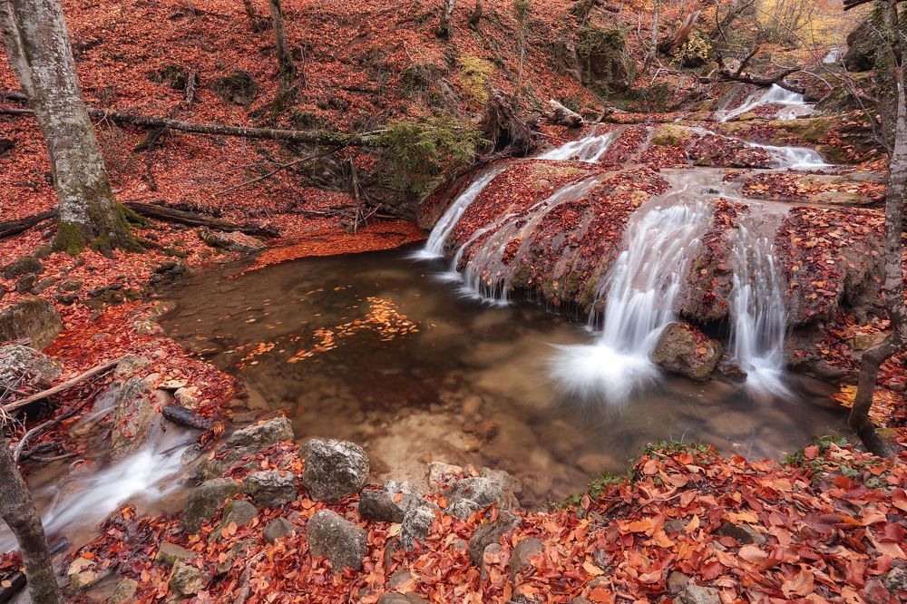 Photograph by Анастасия Калинцева