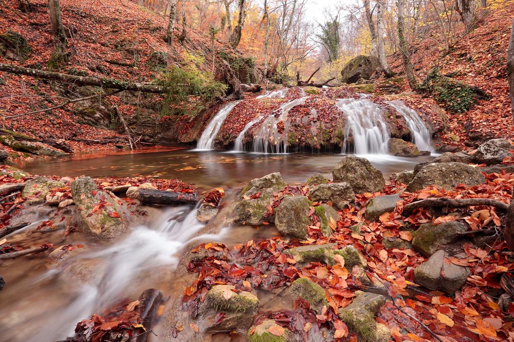 Photograph by Анастасия Калинцева