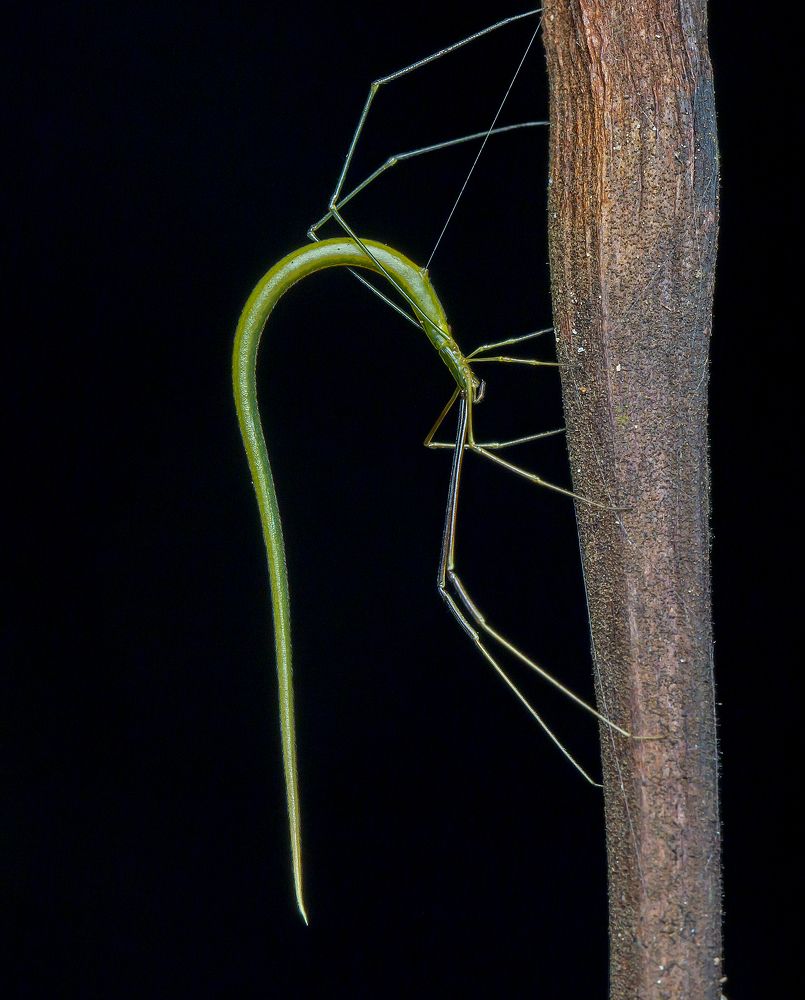 Photograph by Madhan Kumar Balaguru